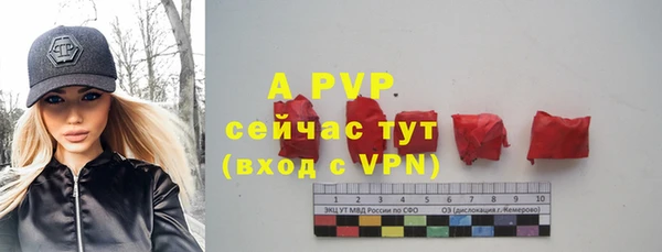 альфа пвп Корсаков