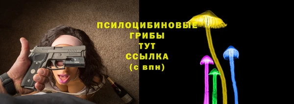Альфа ПВП Коряжма
