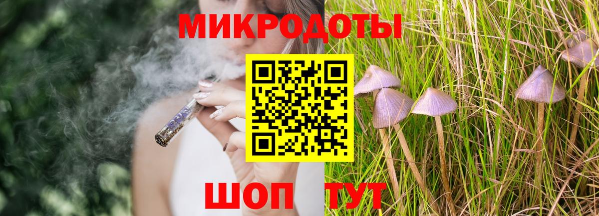Псилоцибиновые грибы Psilocybe  Вход с VPN  Краснодар 