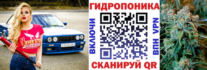 Бошки Шишки тримм  дарнет шоп  Краснодар 